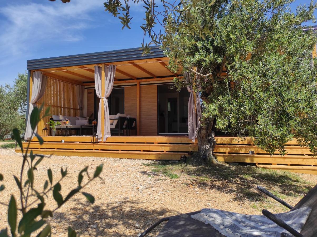 Zen Zone Premium Mobile Home 드라게 외부 사진