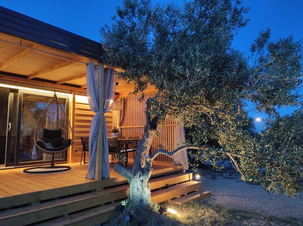 Zen Zone Premium Mobile Home 드라게 외부 사진